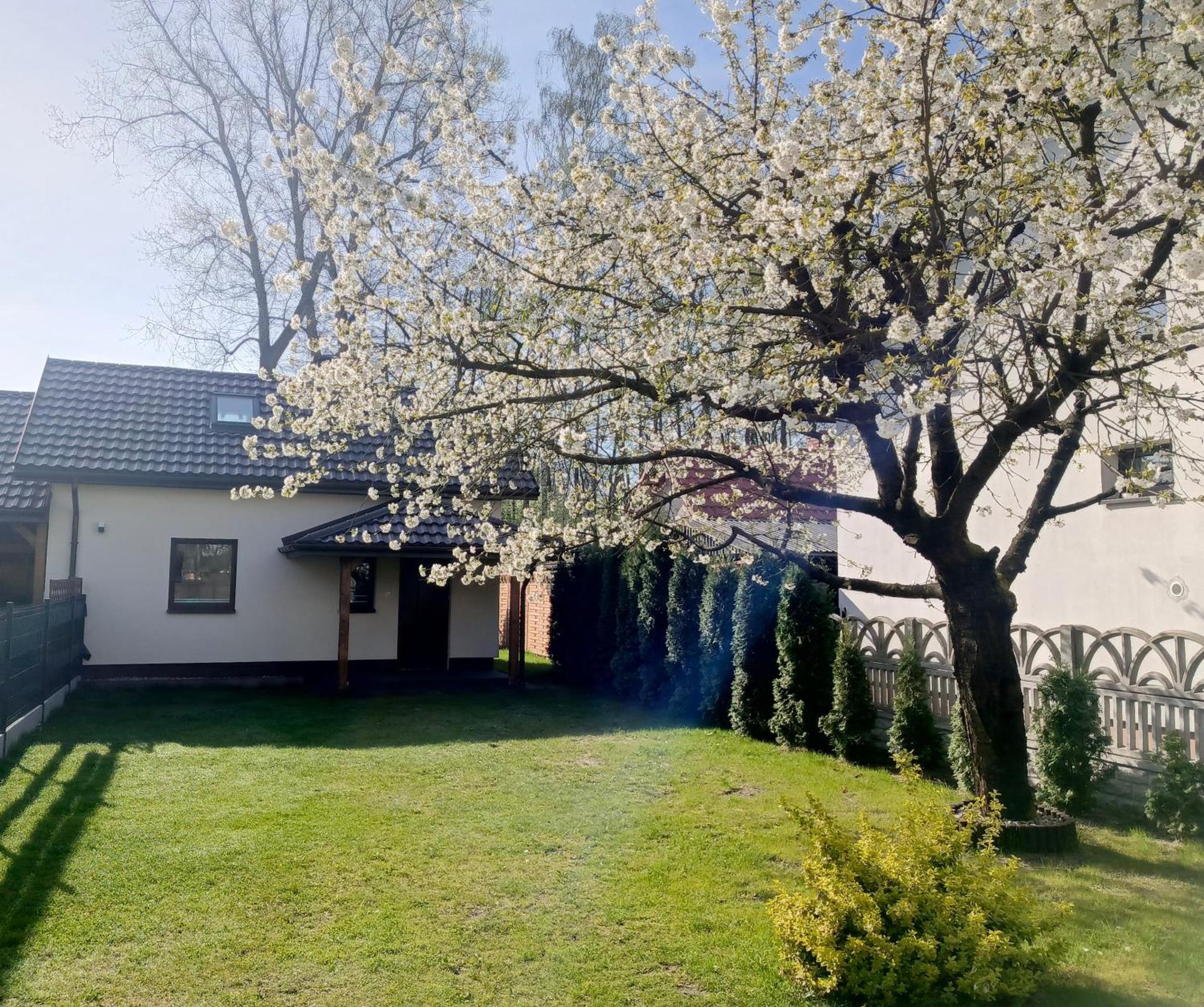 Mini House - Apartament, Do Wynajecia *